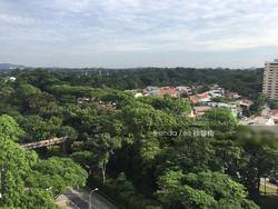 Rich Mansion (D10), Condominium #122181512